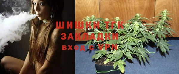 тгк Абаза