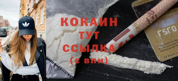 тгк Абаза
