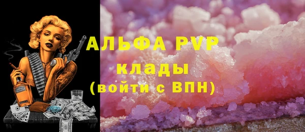 тгк Абаза