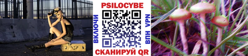 omg ссылка что такое Искитим Псилоцибиновые грибы Psilocybine cubensis